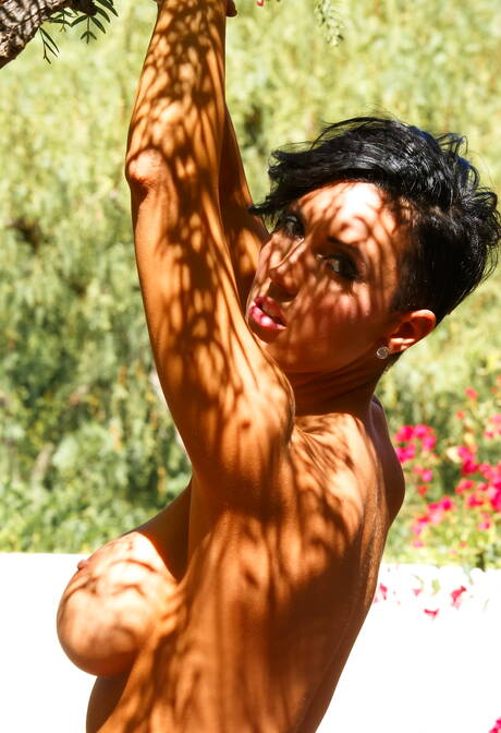 Open Life offers a free pic gallery with Dylan Ryder in hardcore fuck scene