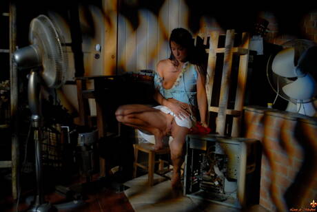 Louis De Mirabert are proud to present you with a xxx photos featuring Melisa Mendini showing amazing form